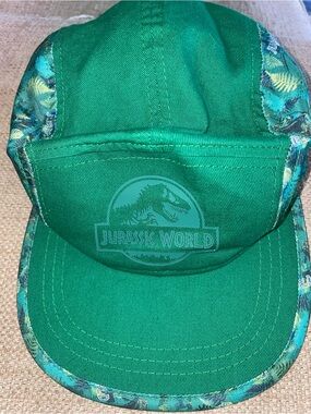 Child’s Jurassic world hat